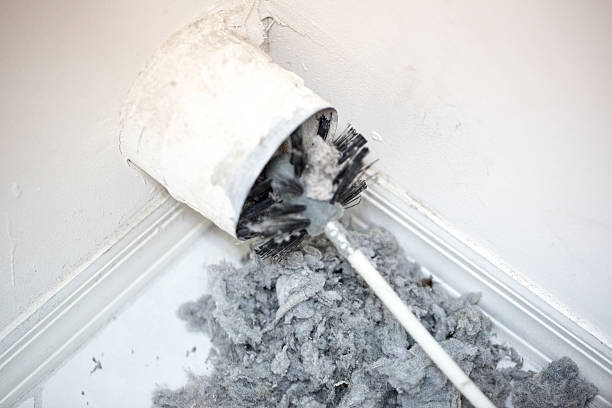 Best Home Air Vent Cleaning  in South Pasadena, FL